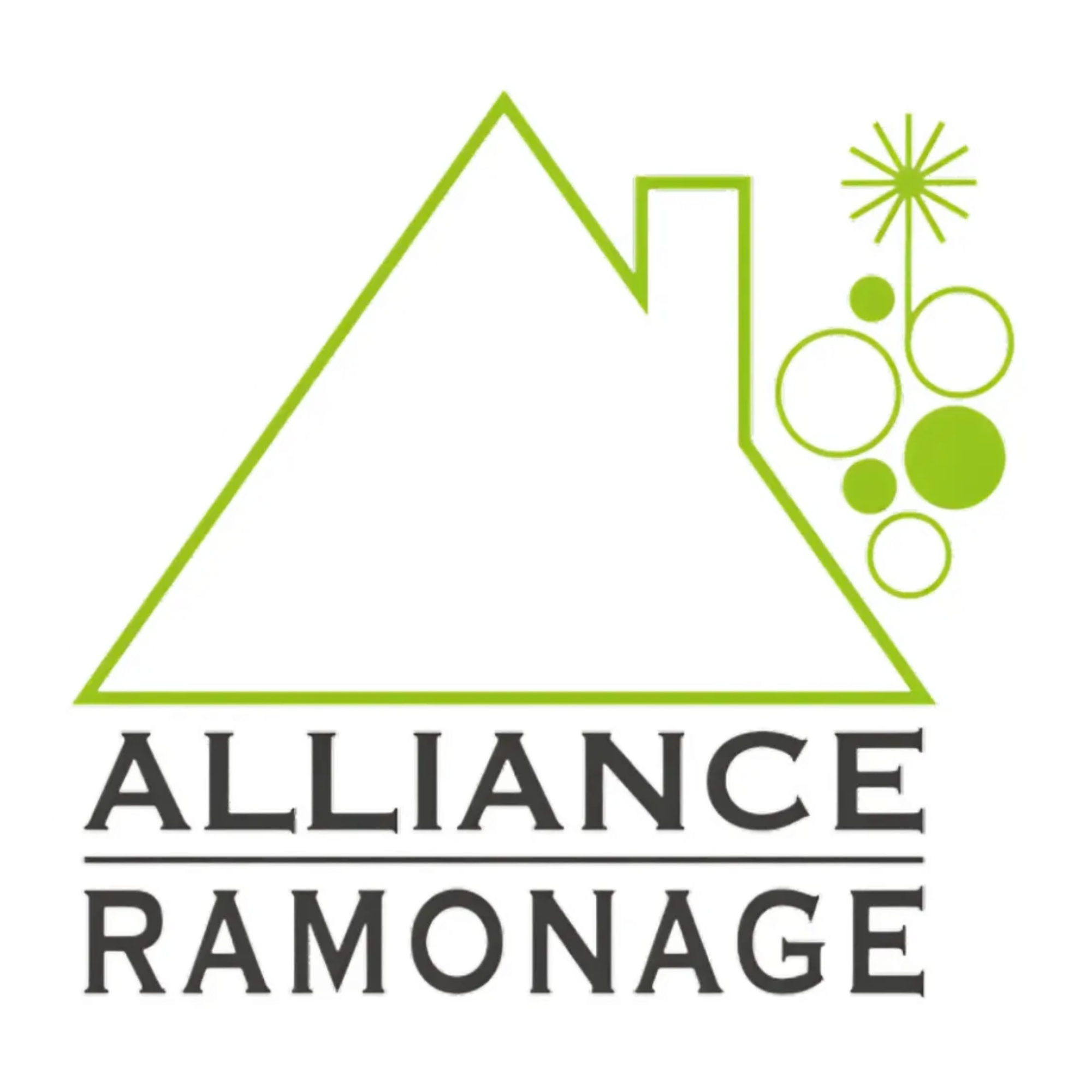 logo Alliance Ramonage 44 - Ramoneur à Basse goulaine