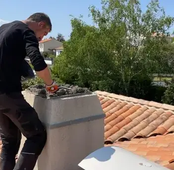 entretien poêle à granulés et pellets Les Sorinières-2