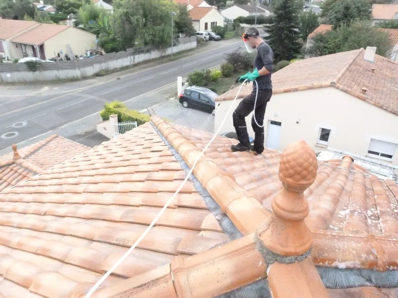 nettoyage toiture haute goulaine