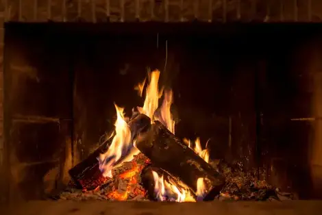 ramonage à Treillières - image 2