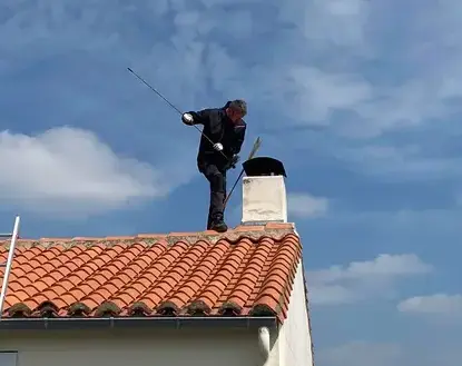 ramoneur Divatte-sur-Loire-4