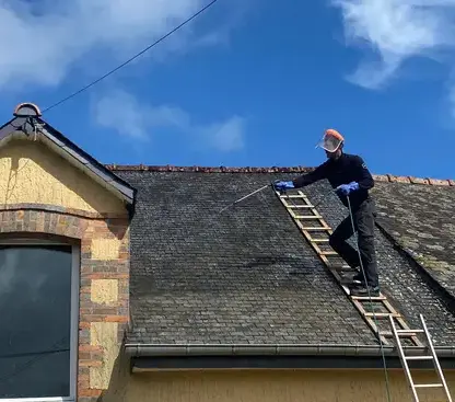 ramoneur Les Sorinières-1