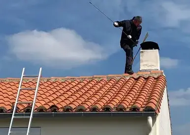 ramoneur Treillères-5